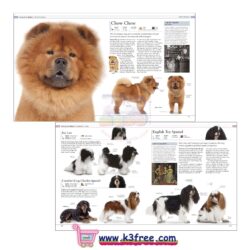 The bestsellers 21 THE DOG ENCYCLOPEDIA